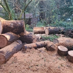 Our work