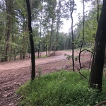 Driveway into the House Site