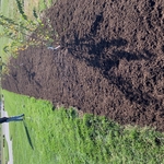 Added new mulch and plant