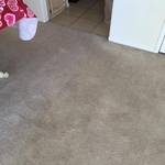 carpet cleaning