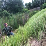 AAR Pond Job