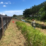 AAR Pond Job