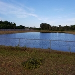 AAR Pond Job