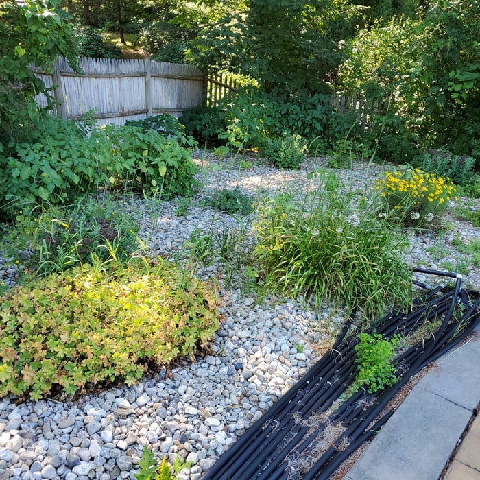 Deweed stone bed
