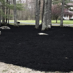 Spring Mulching