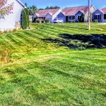 Mowing