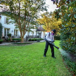 Outdoor Pest Control