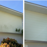 House algae removal