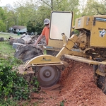 Stump Grinding