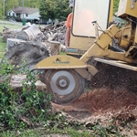 Stump Grinding