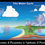 The Water Cycle