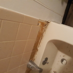 Tub and shower pic before