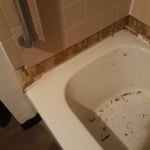 Before pic of tub and shower