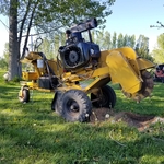 stump removals