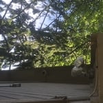 One of the security cameras