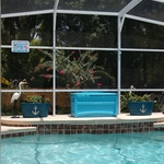 Residential pool cleaning
