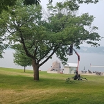 tree trimming