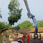 Storm damage-