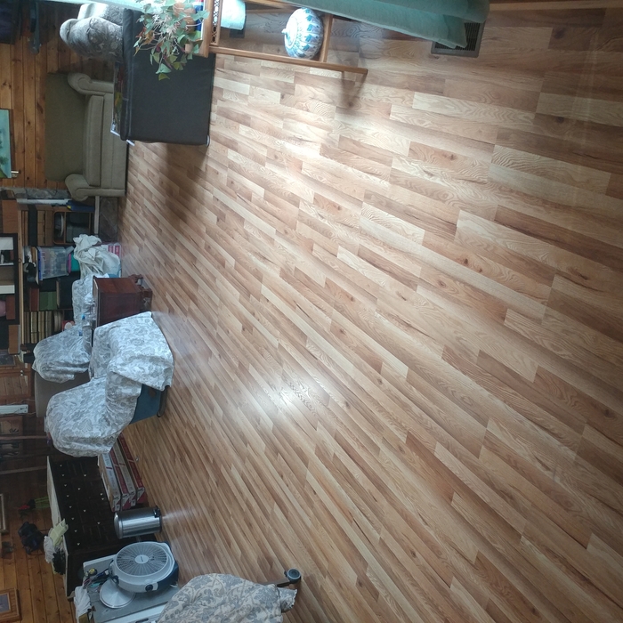 Photos