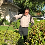 Pest Service