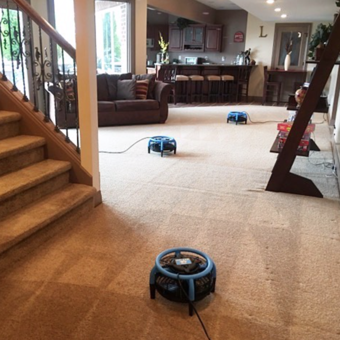 Carpet Cleaning