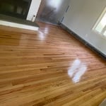 all types of wood