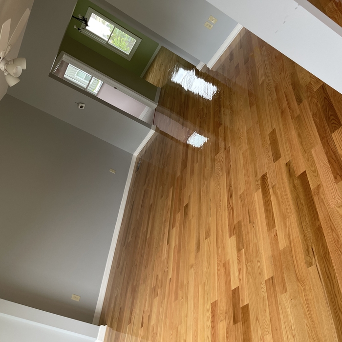all types of wood
