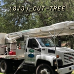 Professional Forestry Equipment
