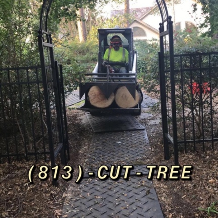 463 Mini BobCat