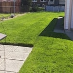 Our Work