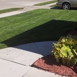 Our Work