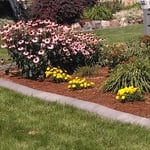 Landscape Curbing