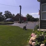 Finished lawn