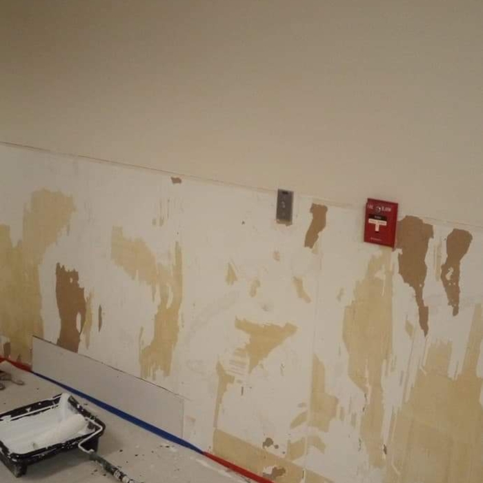 Our work