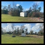 tree trimming