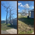 tree trimming