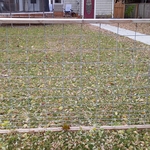 Fencing