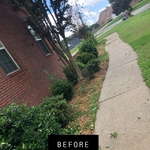 Flower Beds