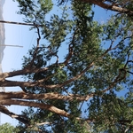 After west view