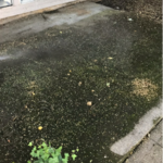 Before Pressure washing