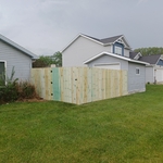 Backyard Privacy Fence
