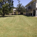 Lawn