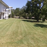 Lawn