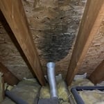 Fan Vented into Attic