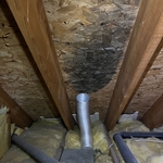 Fan Vented into Attic