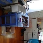 Shoes shoes shoes