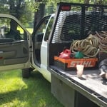 Tree work 2019