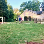 Fence, Sod