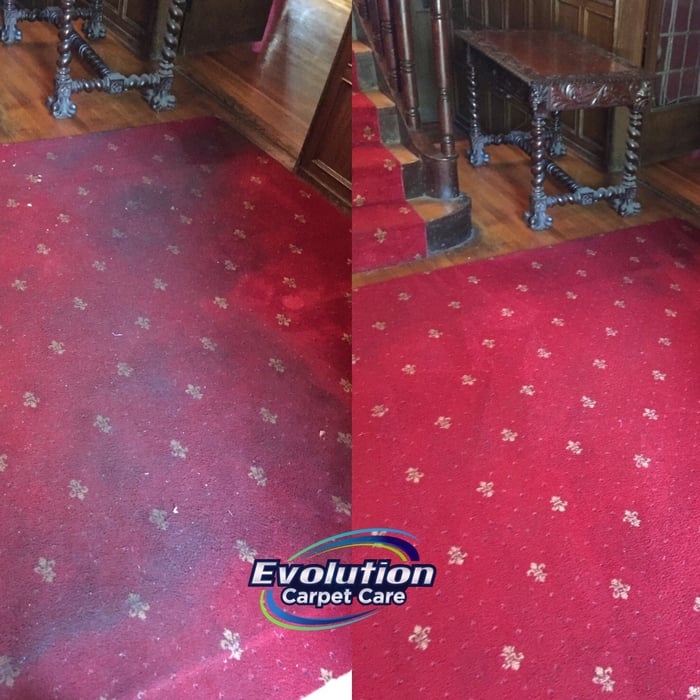 Carpet Cleaning