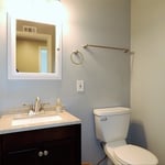 Guest bathroom